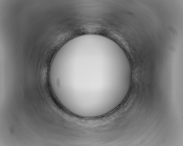X0000110900018200907021547