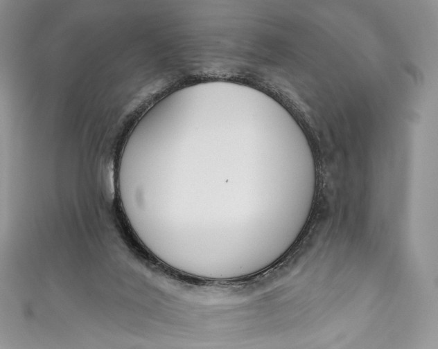 X0000110900020200907021547