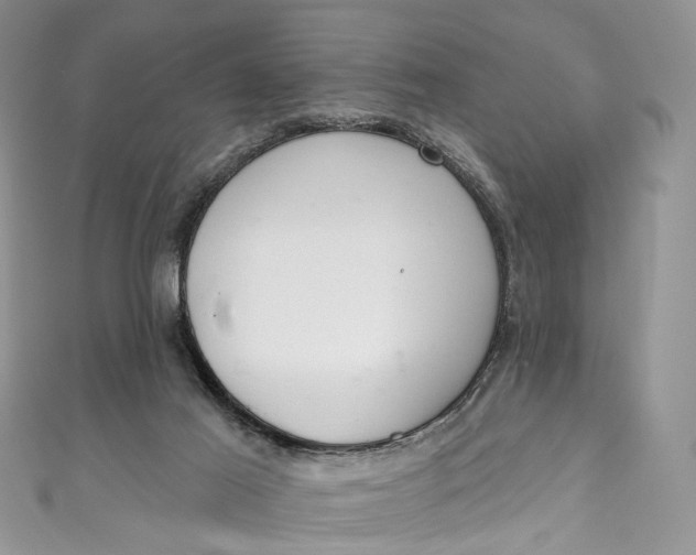 X0000110900021200907021547