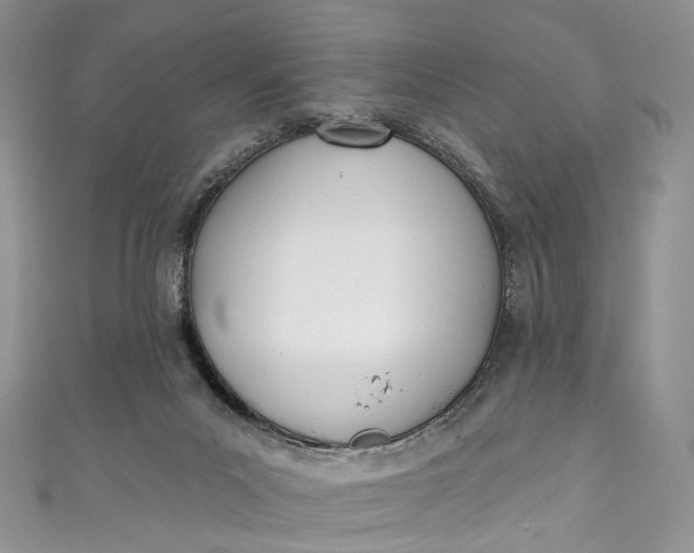 X0000110900023200907021547