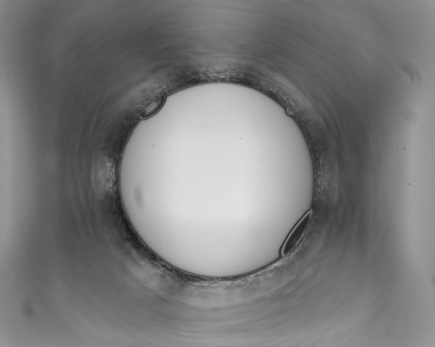 X0000110900025200907021546