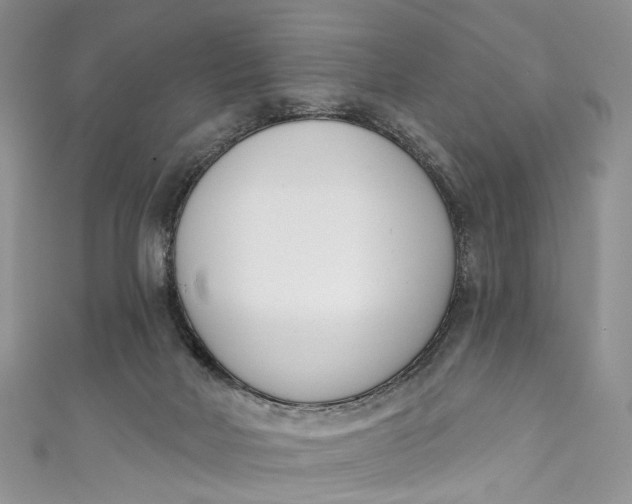 X0000110900026200907021546