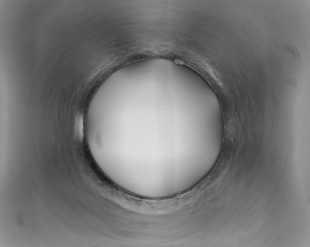 X0000110900027200907021546