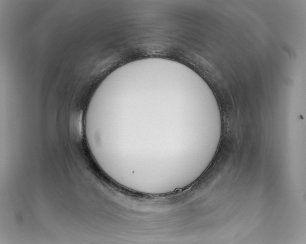 X0000110900028200907021546