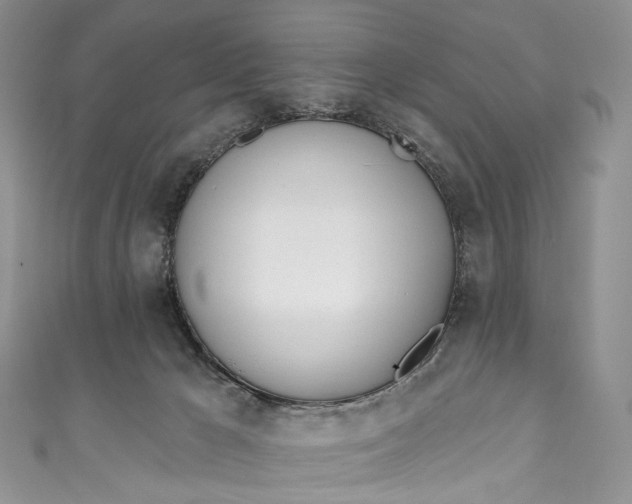 X0000110900029200907021546
