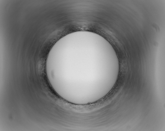 X0000110900030200907021546