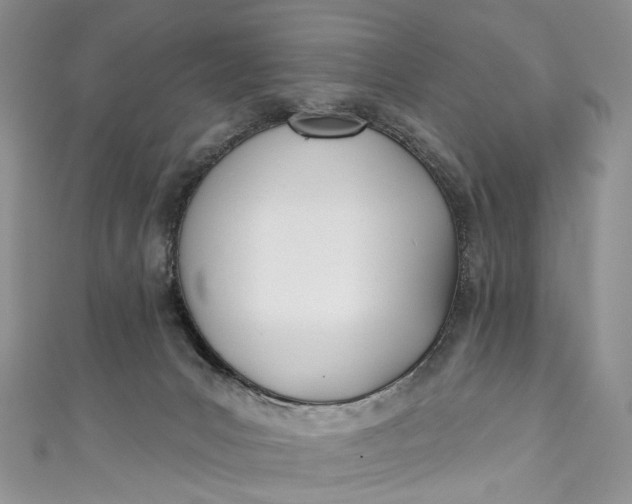 X0000110900031200907021546