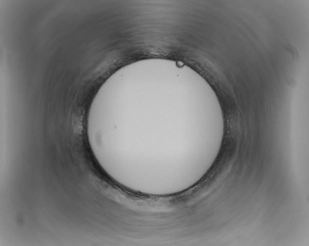 X0000110900032200907021546