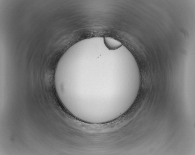 X0000110900034200907021546