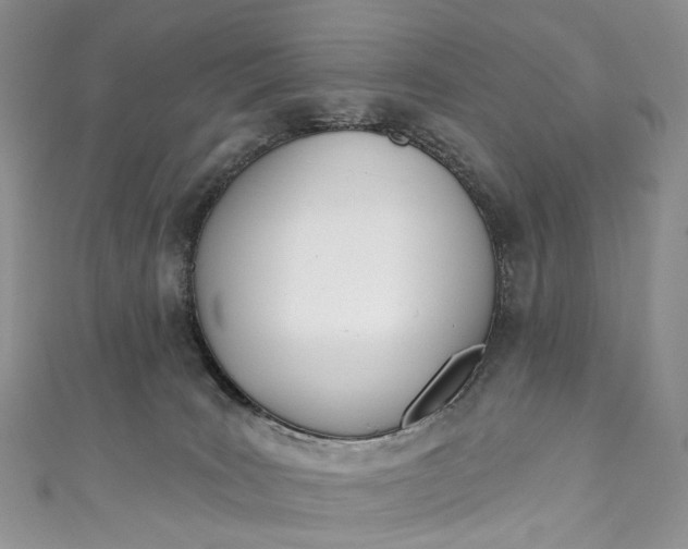 X0000110900035200907021546
