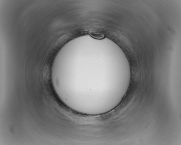 X0000110900036200907021546