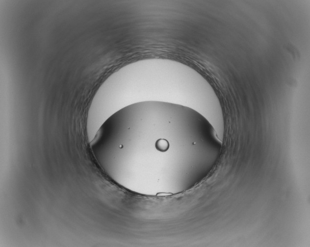 X0000110900037200907021546