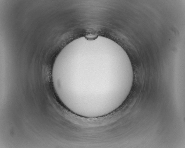 X0000110900038200907021546