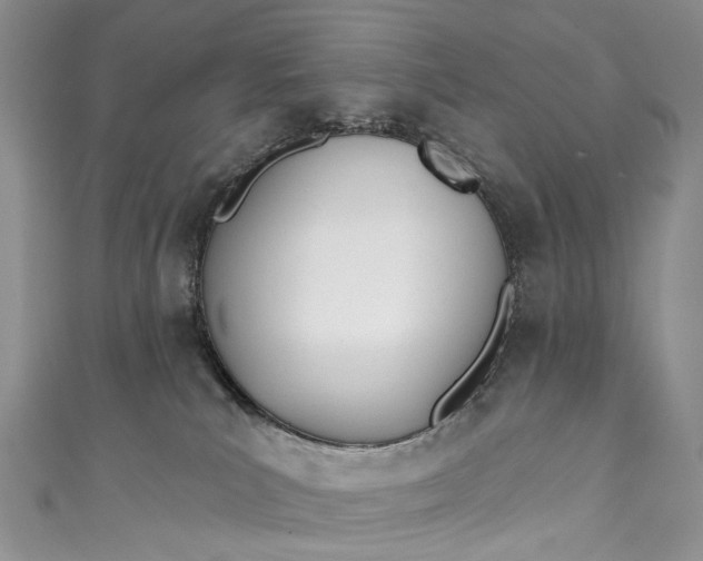 X0000110900039200907021546