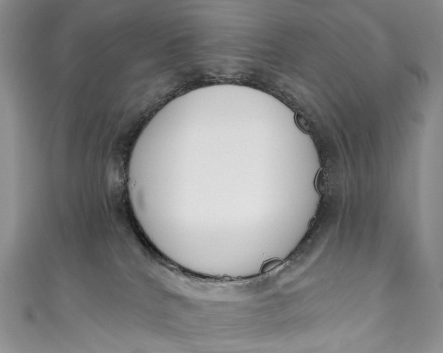X0000110900040200907021546
