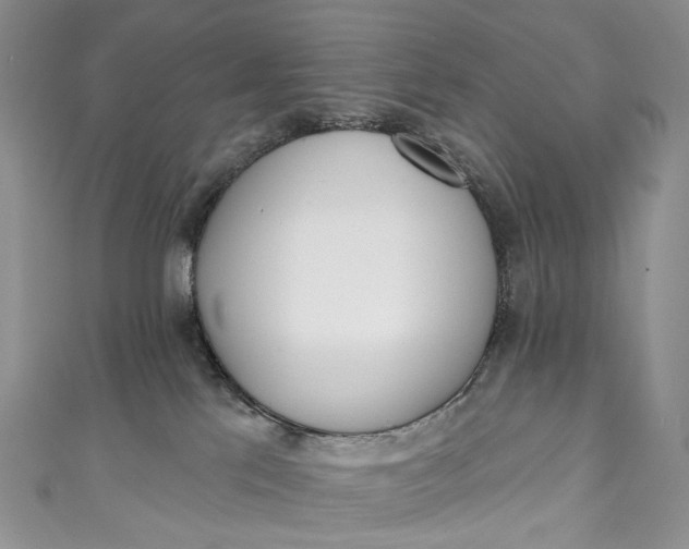 X0000110900041200907021546
