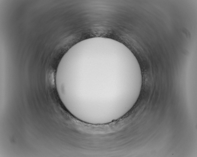 X0000110900042200907021546