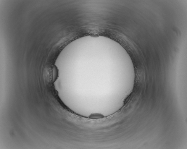 X0000110900043200907021546