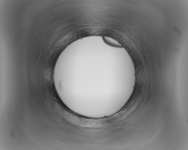 X0000110900044200907021546