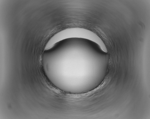 X0000110900045200907021546