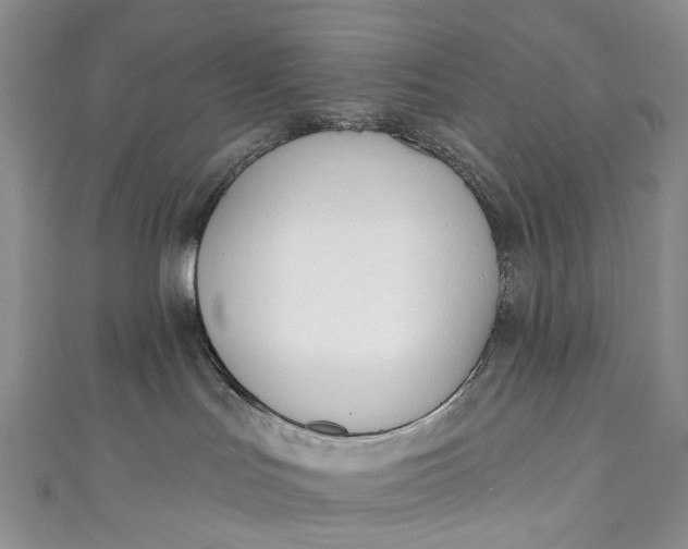 X0000110900047200907021546