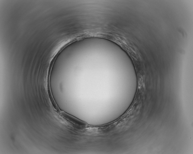 X0000110900052200907021546
