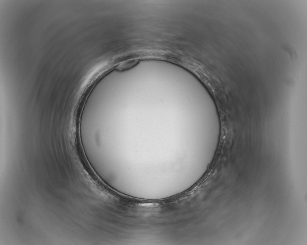 X0000110900053200907021546