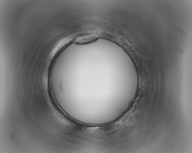 X0000110900054200907021546