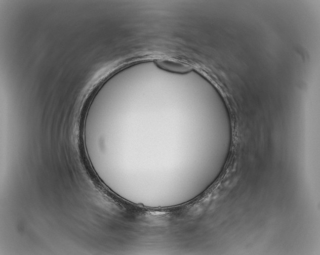 X0000110900055200907021546