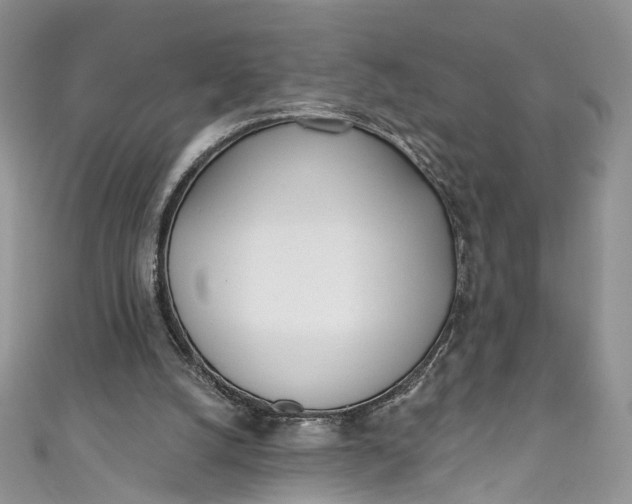 X0000110900056200907021546