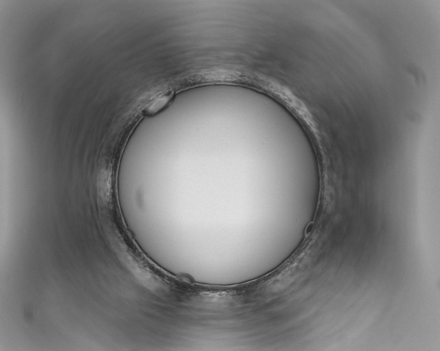 X0000110900057200907021546