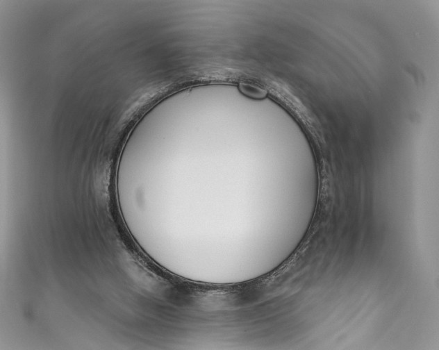 X0000110900058200907021546