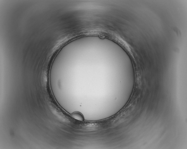 X0000110900059200907021546