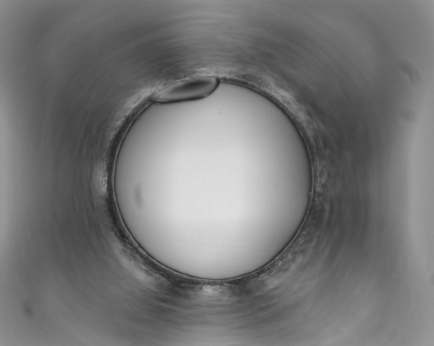 X0000110900060200907021546
