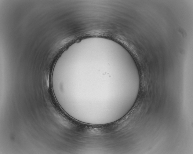 X0000110900062200907021546