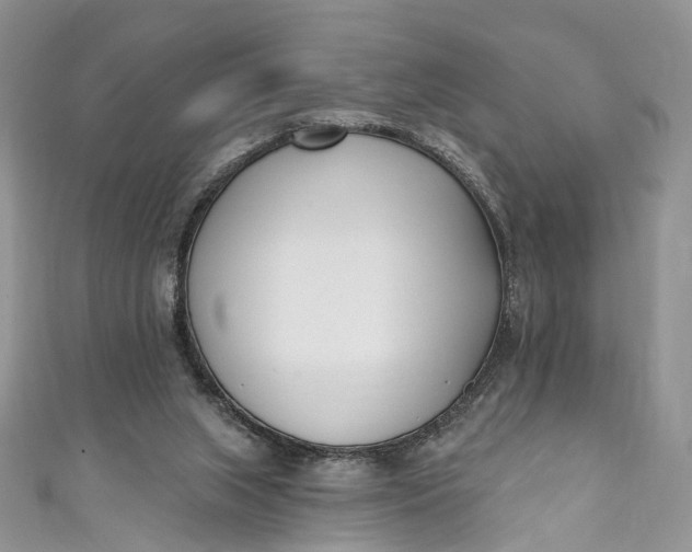 X0000110900063200907021546