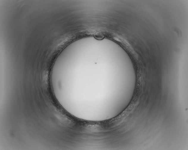 X0000110900066200907021546