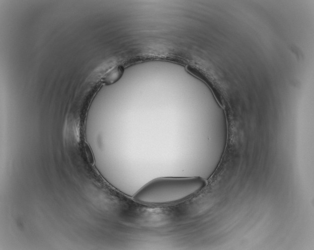 X0000110900068200907021546