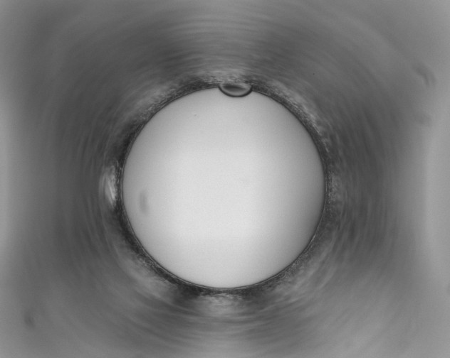X0000110900069200907021546