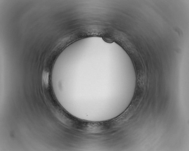 X0000110900070200907021546