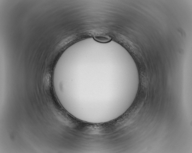 X0000110900071200907021546