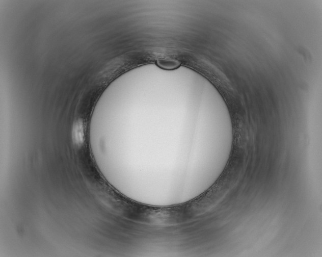 X0000110900075200907021546
