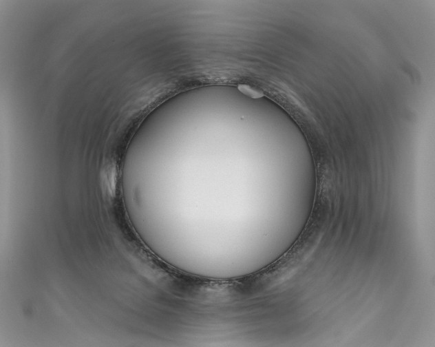 X0000110900076200907021546