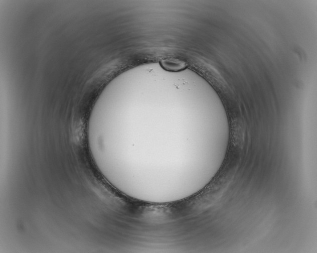 X0000110900077200907021546