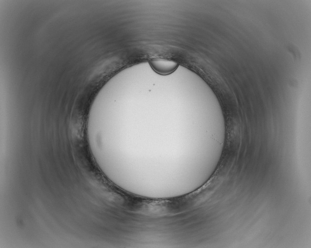 X0000110900078200907021546