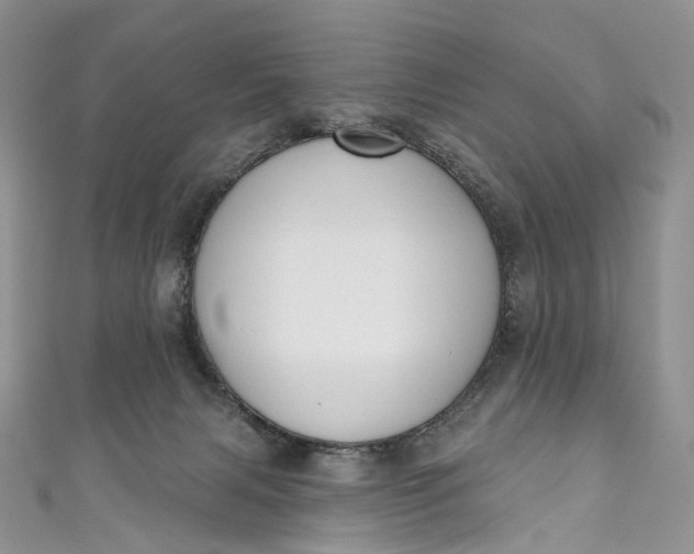 X0000110900079200907021546