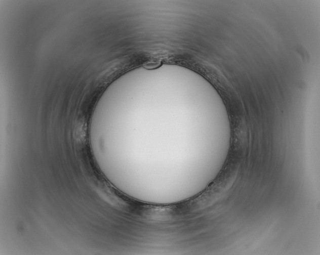 X0000110900081200907021546