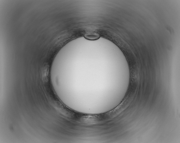 X0000110900082200907021546