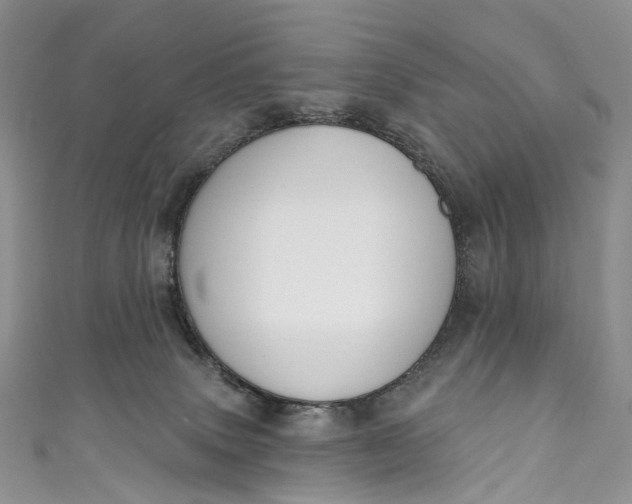 X0000110900083200907021546