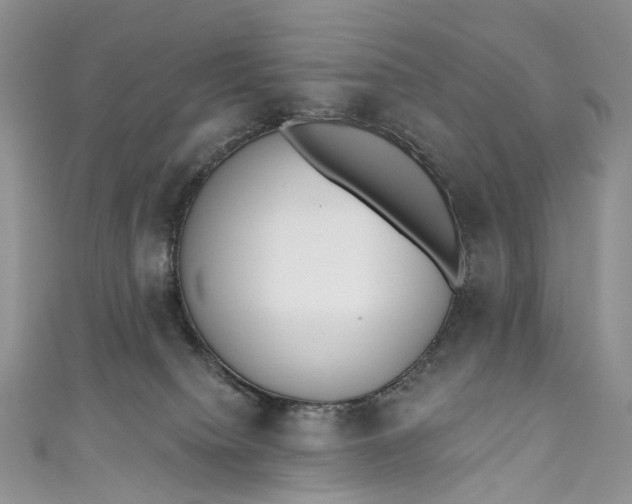 X0000110900084200907021546